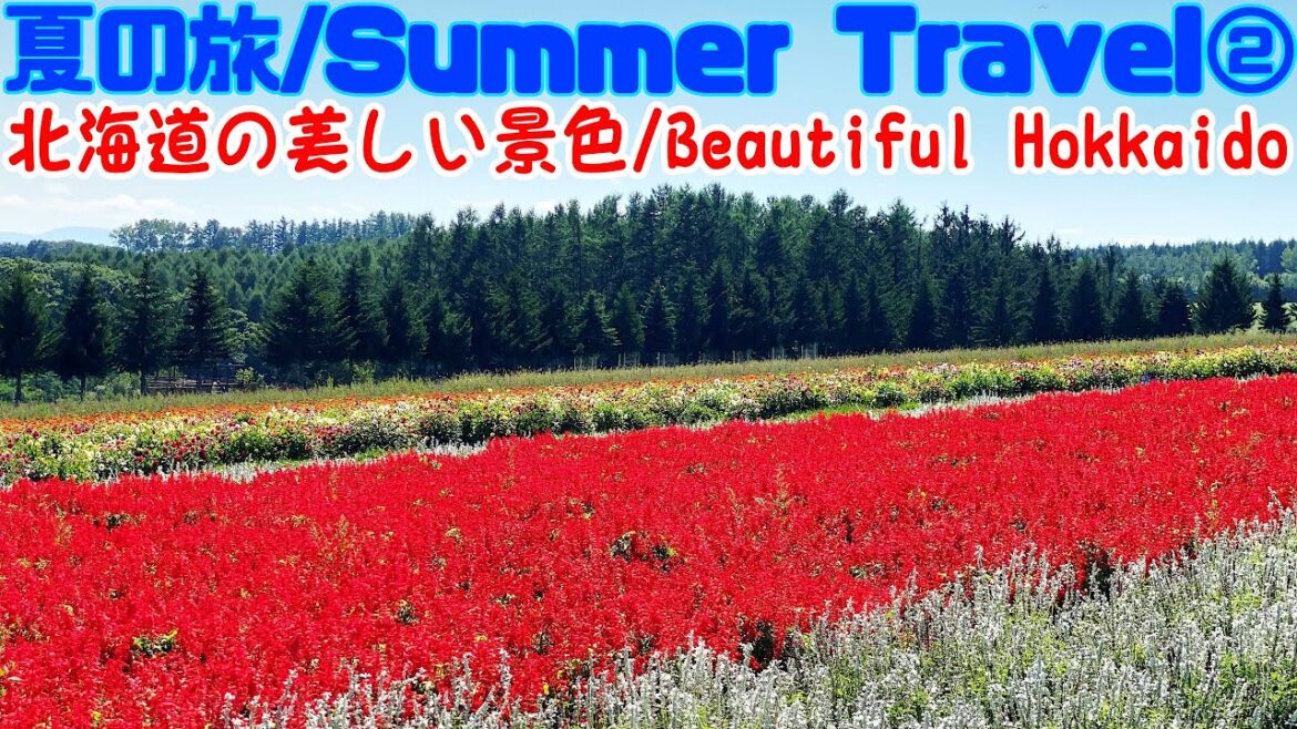 [字幕CC]弾丸・夏の北海道で絶景を楽しむ 神威岬の積丹ブルーと富良野/美瑛の夏