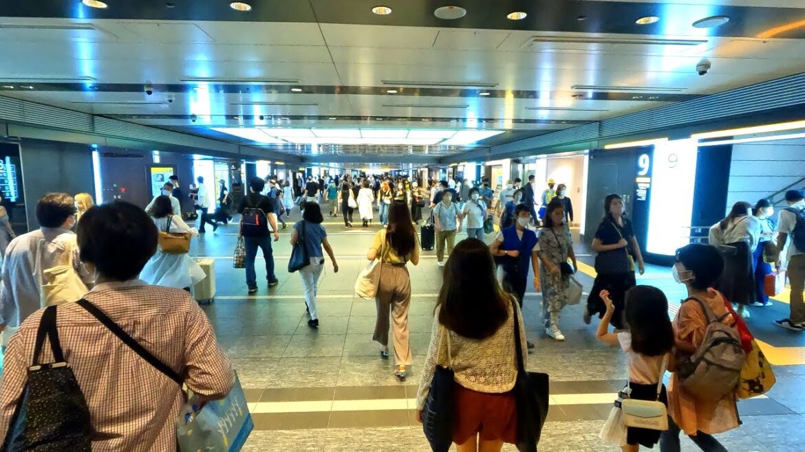 【4K高画質!】シルバーウィークの東京駅構内を散策!台風の影響で新幹線大混雑!(Japan Walking around Tokyo Station) 【4K高画質!】シルバーウィークの東京駅構内を散策!台風の影響で新幹線大混雑!(Japan Walking around Tokyo Station)