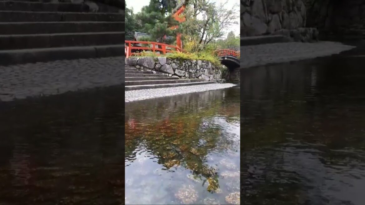 in japan #shorts #youtubeshorts