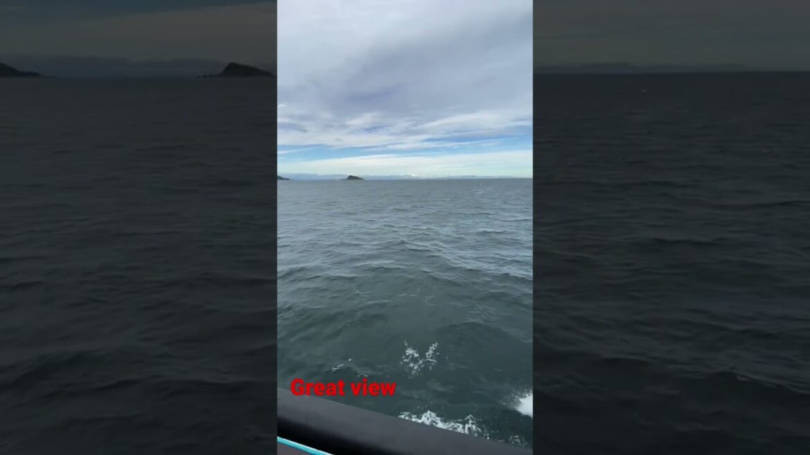 Ferry in Japan #shorts