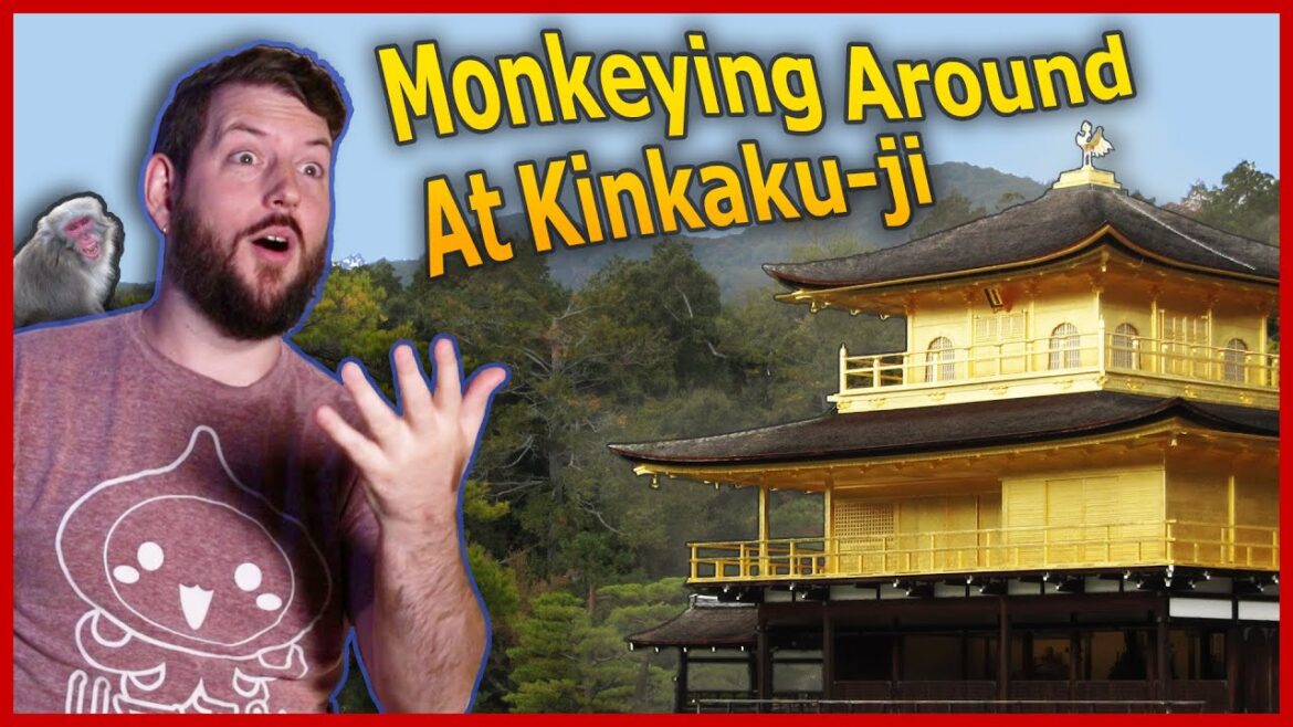 Monkeying Around at Kinkaku-ji!! π
 Day 11 – Kyoto, Japan Monkeying Around at Kinkaku-ji!! π
 Day 11 - Kyoto, Japan
