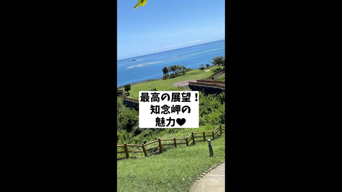 沖縄で蝦夷シカが食べられる唯一の場所らしいです😌#Shorts