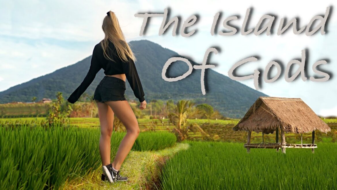 BALI The Island Of Gods | UNESCO Rice Terraces | Monkey Forest | Cinematic Video BALI The Island Of Gods | UNESCO Rice Terraces | Monkey Forest | Cinematic Video