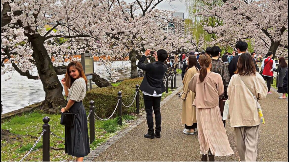 Wow Just a wonderful Day in Tokyo Wow Just a wonderful Day in Tokyo