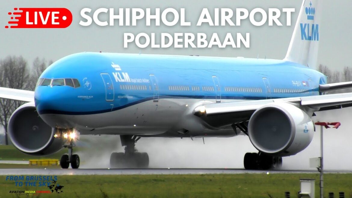 LIVE - SCHIPHOL AIRPORT PLANESPOTTING