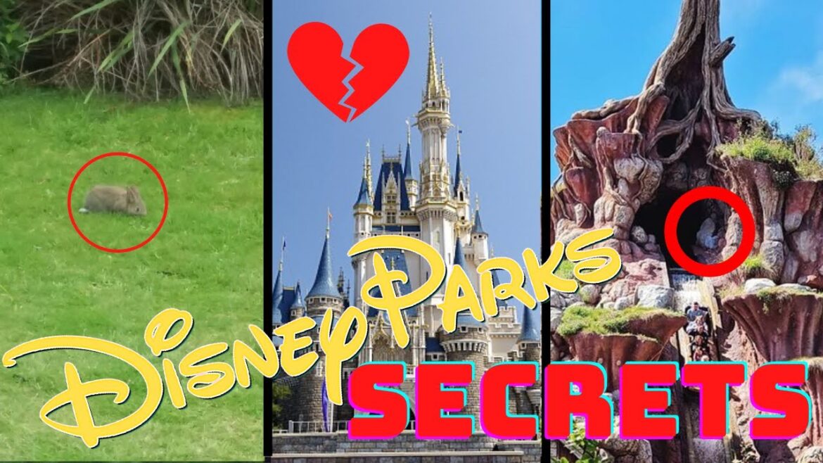10 AMAZING Disney Parks FACTS and SECRETS - 2021