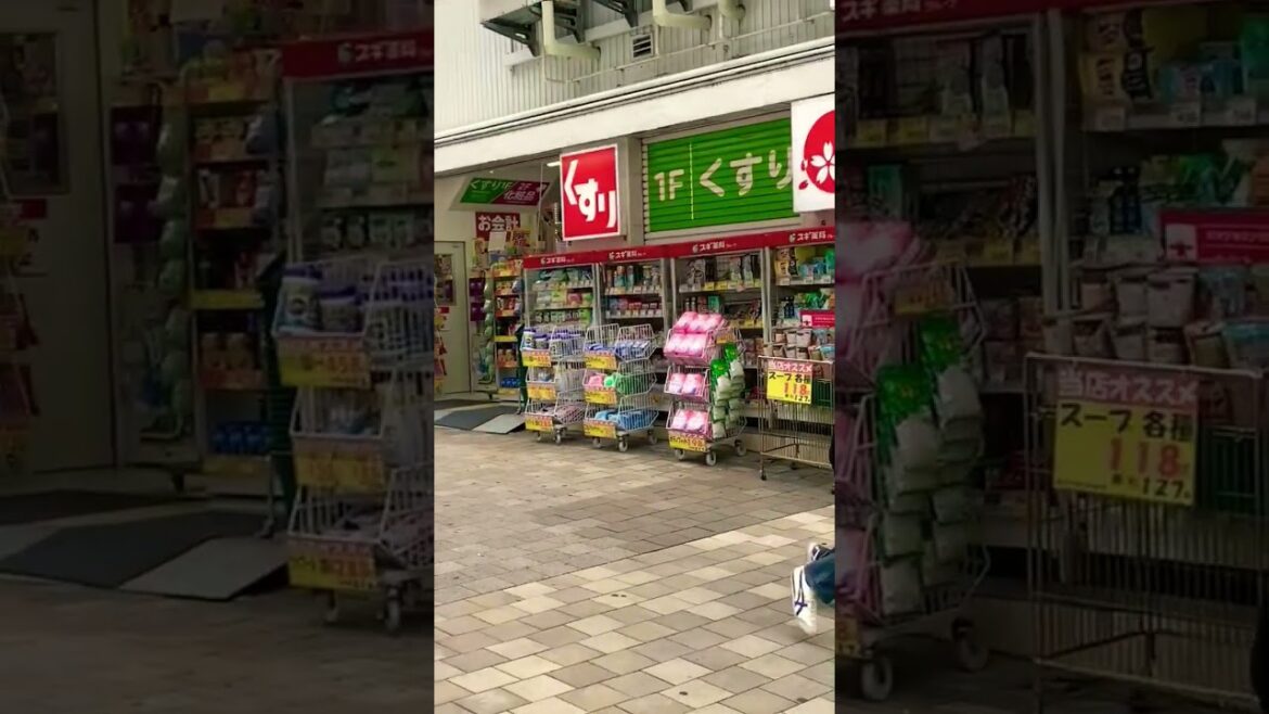 Famous Street Food in Tokyo