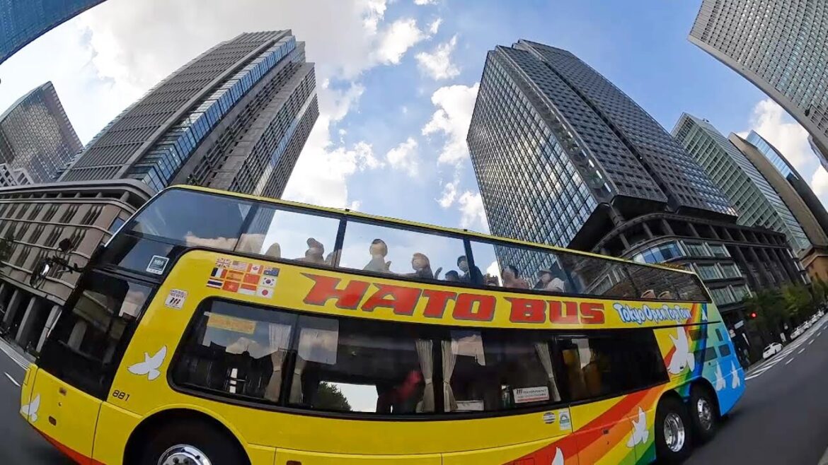 Superb view of Open-top "HATOBUS" tour from Tokyo station  [Japan Traveler]