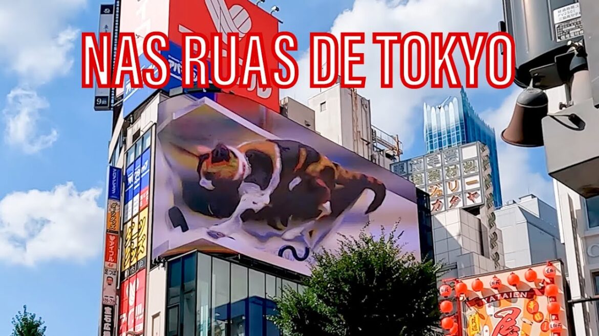 DESCOBRINDO TOQUIO EM KABUKICHO