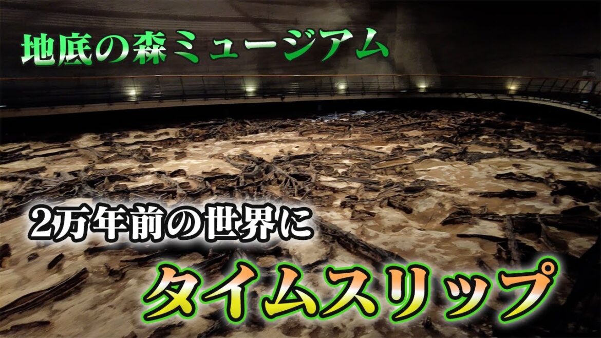 【旅Vlog】世界中でここだけ！2万年前の世界を堪能してきました。