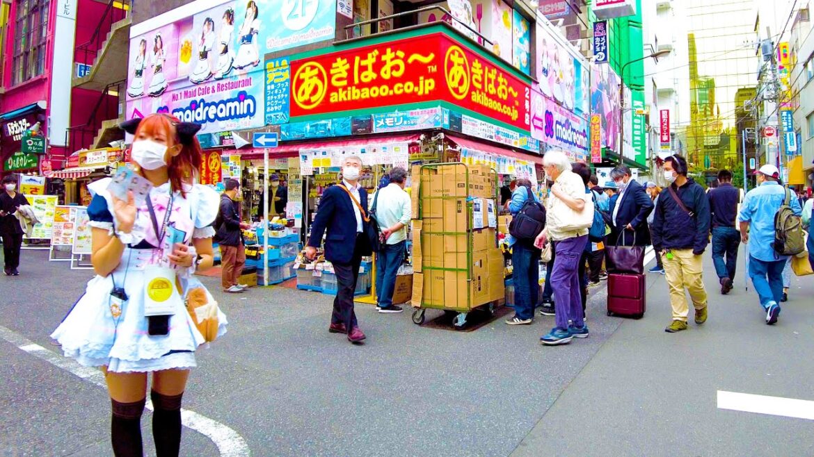 Akihabara in Tokyo is an exciting town♪💖🐶4K ASMR non-stop 1 hour 01 minutes
