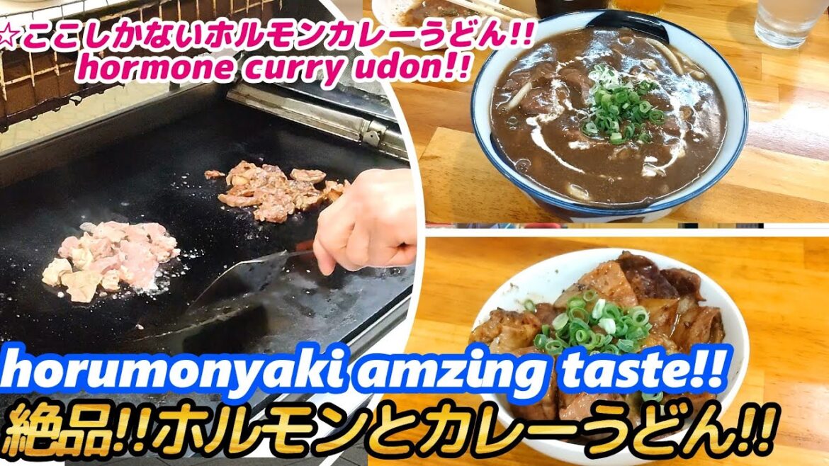 【ホルモン焼＆ホルモンカレーうどんが最高に美味しい店!!】ホルモン権兵衛 horumonyaki GONBEI grilled meat japanese street food 西成 せんべろ 激安