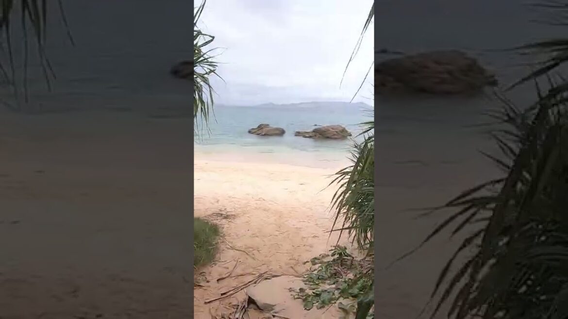 【沖縄観光】恩納村の御菓子御殿の敷地を抜けて浜辺へ向かう #shorts