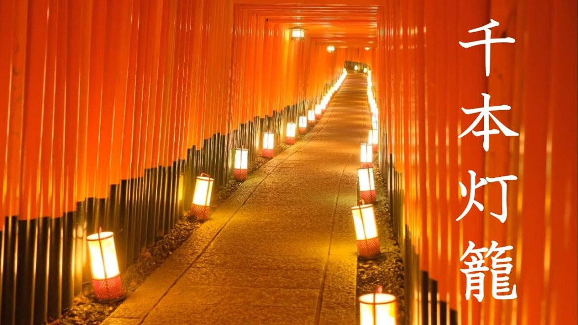 【京都伏見稲荷】千本灯籠:11年ぶり千本鳥居のライトアップ　Fushimi inari Shrine