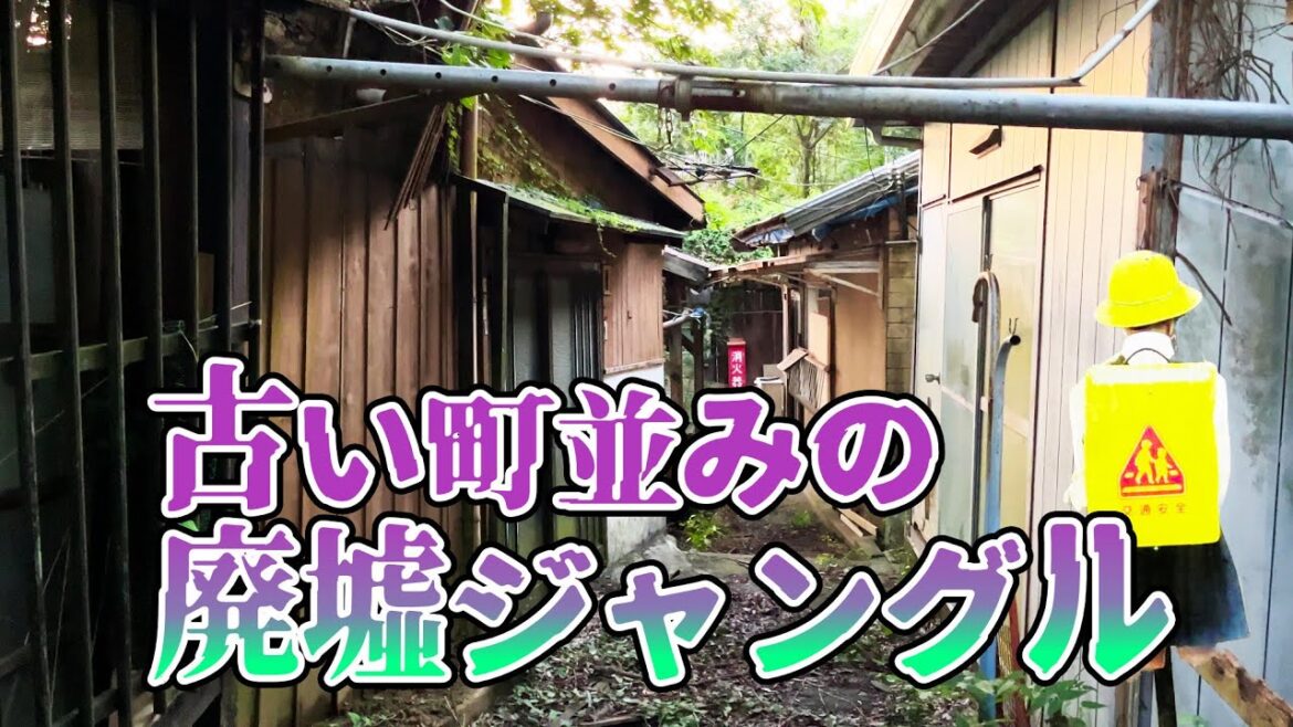 探索！古い町並みの奥に残された廃墟ジャングルを進む
