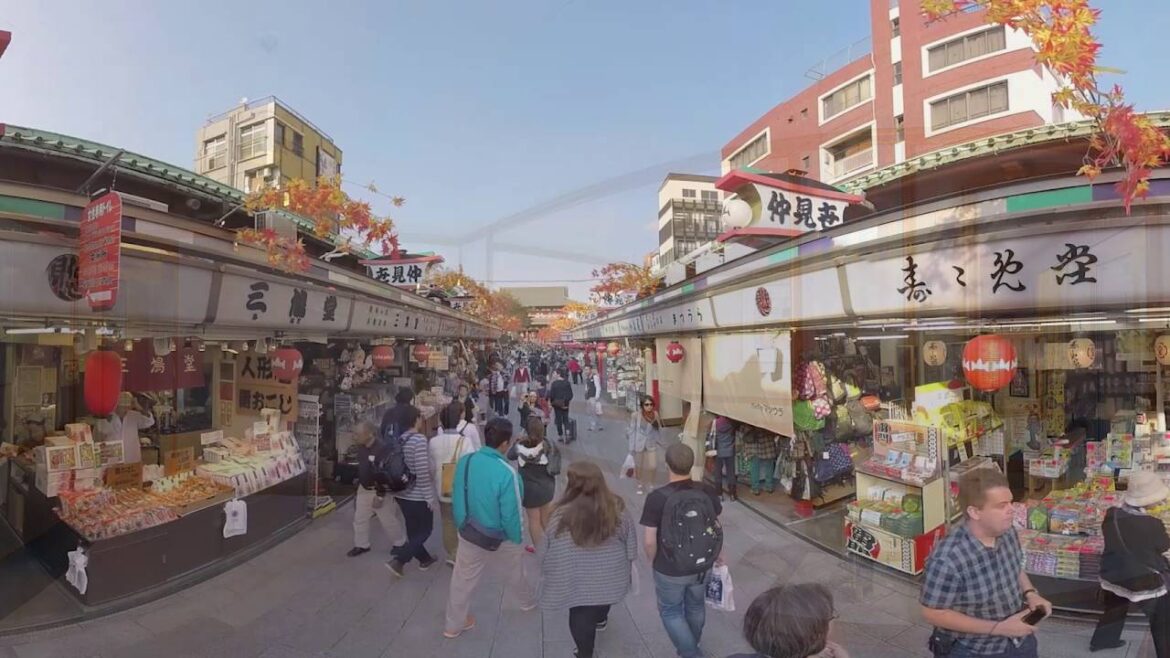 Explore Japan Cruising in 360 with Cruiseabout