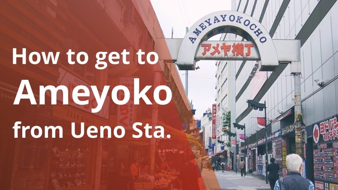 How to Get to Ameyoko from Ueno Station (Tokyo Travel Guide)