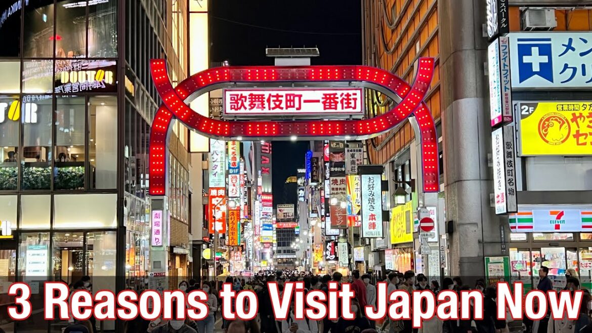 🇯🇵 3 Reasons to Visit Japan Right Now! (2022)