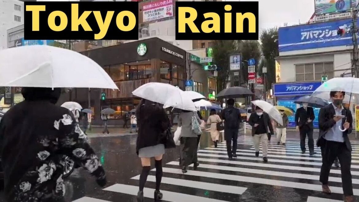 Tokyo Live Rain Explore Kagurazaka