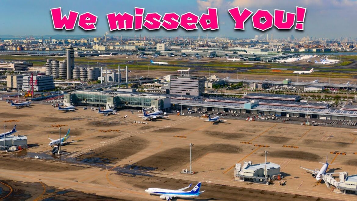 🔴 Japan Travel 2022 - Haneda Airport Arrival Hall and getting to Tokyo!