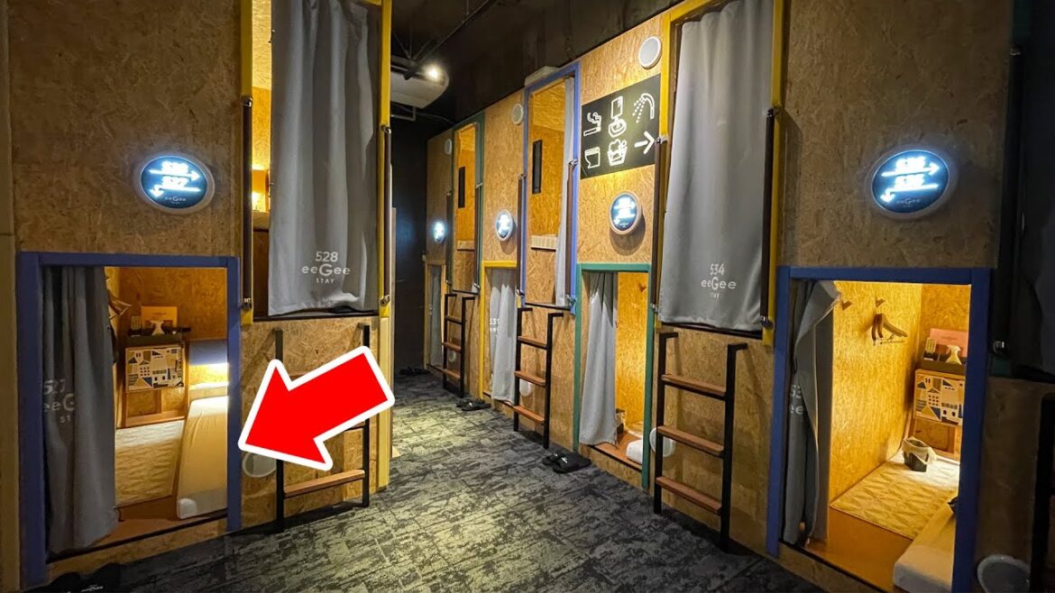 [2,500 yen per night] We spent a night at a secret base🛝 for adults who haven't found out yet♪