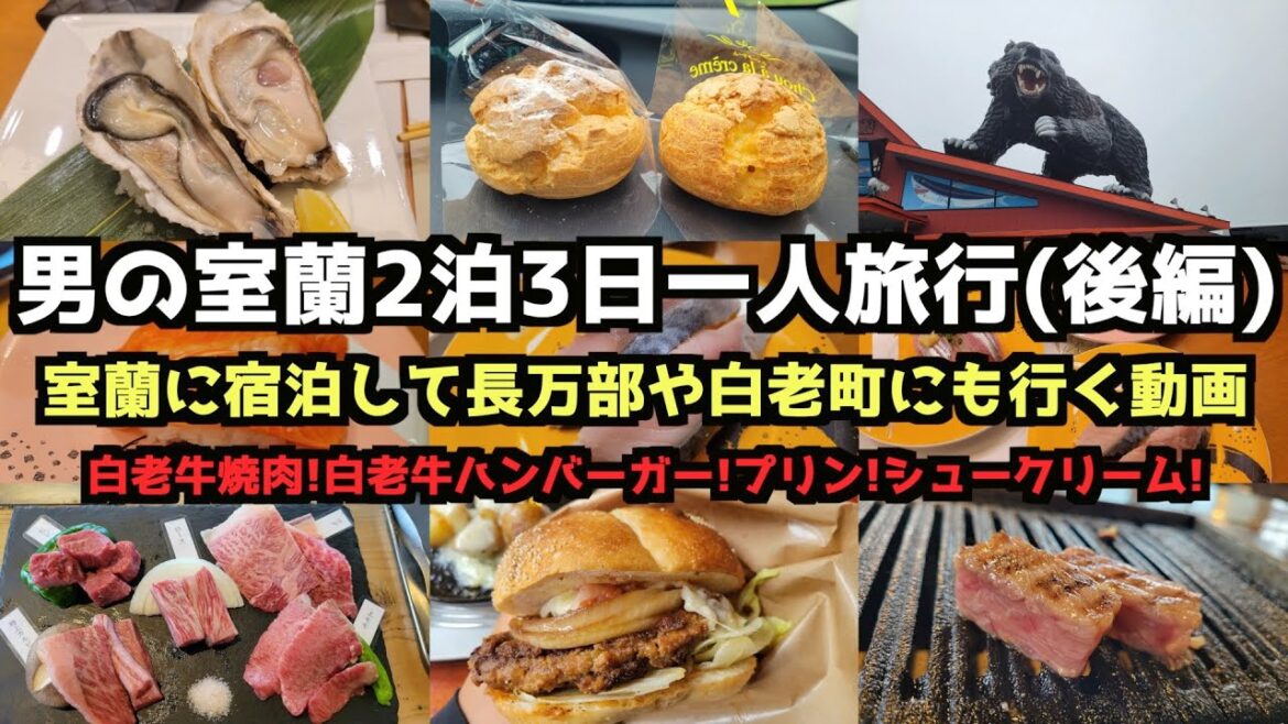 【北海道グルメ旅行】男の室蘭2泊3日一人旅行(後編) #北海道 #北海道旅行 #室蘭 #白老町 #白老牛 【北海道グルメ旅行】男の室蘭2泊3日一人旅行(後編) #北海道 #北海道旅行 #室蘭 #白老町 #白老牛