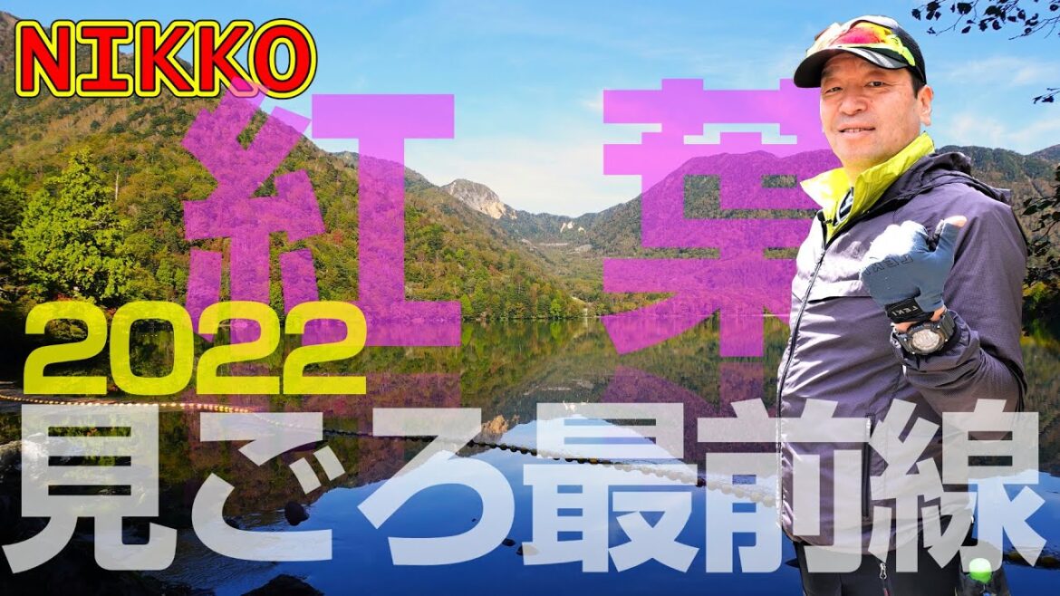 日光【紅葉最前線】戦場ヶ原、華厳の滝、竜頭の滝、湯ノ湖、中禅寺湖など紅葉人気スポットを一挙紹介【2022年版】 日光【紅葉最前線】戦場ヶ原、華厳の滝、竜頭の滝、湯ノ湖、中禅寺湖など紅葉人気スポットを一挙紹介【2022年版】