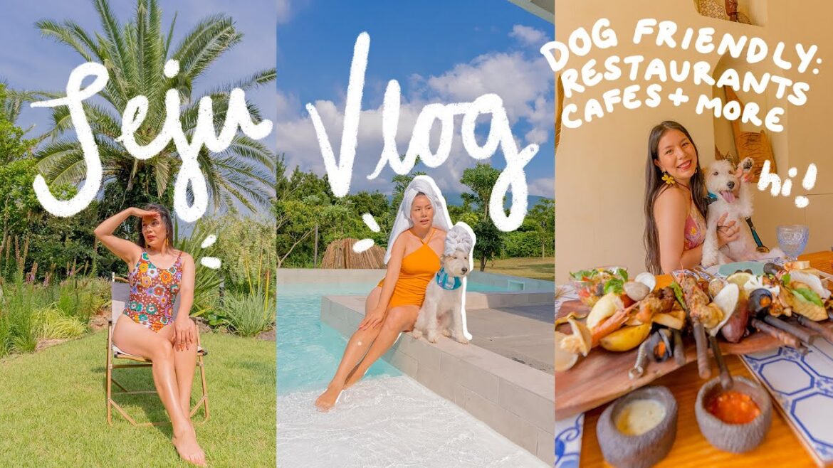 Jeju Island Vlog | Where to stay, dog friendly spots, most scenic picture spots & more Jeju Island Vlog | Where to stay, dog friendly spots, most scenic picture spots & more