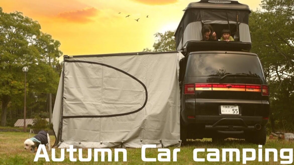 【キャンプ】秋の黒姫高原でカーサイドタープとルーフテントを広げてのんびりリラックス|VanLife|ASMR【デリカD5】 【キャンプ】秋の黒姫高原でカーサイドタープとルーフテントを広げてのんびりリラックス|VanLife|ASMR【デリカD5】