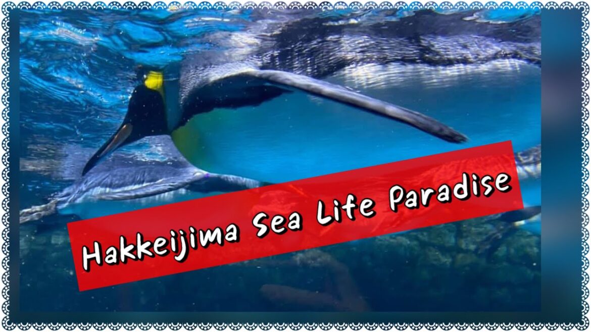📍Yokohama | HAKKEIJIMA SEA PARADISE