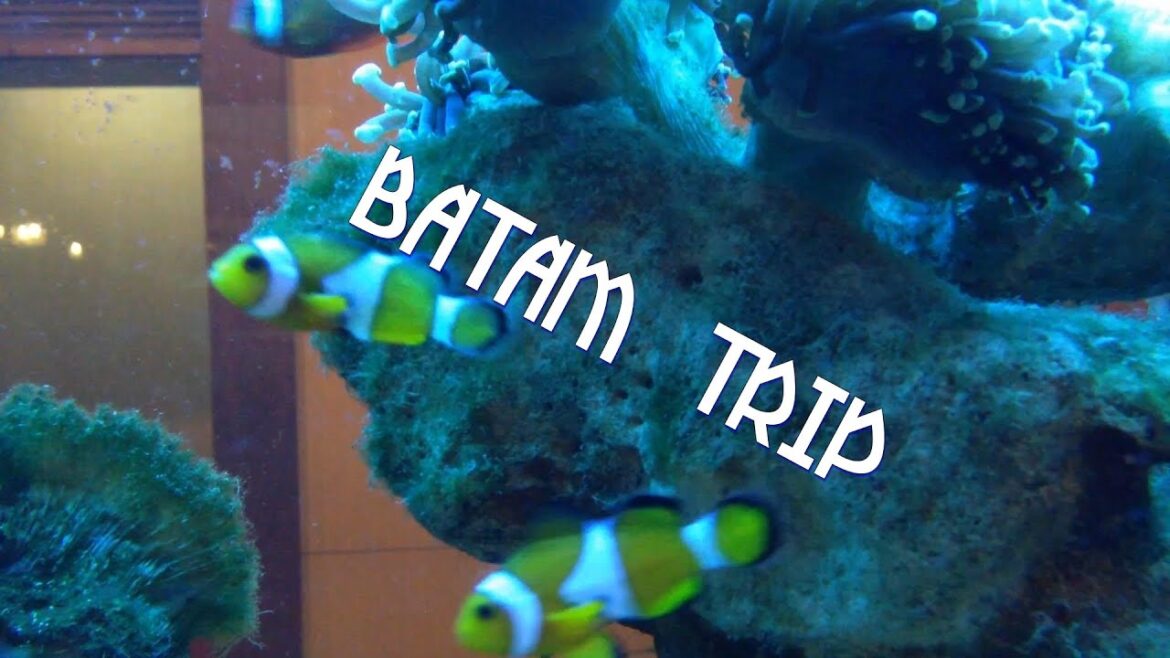 Trip to Batam Island, Indonesia