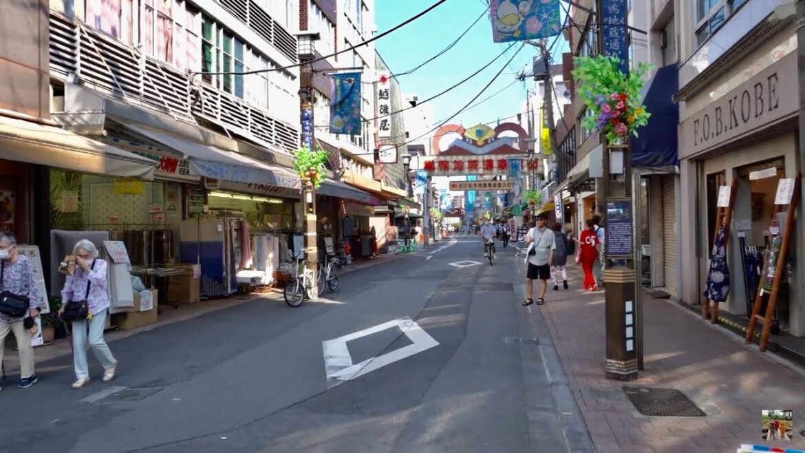 【🇯🇵4K】Walking tour Sugamo in Tokyo - Togenuki shopping st, (巣鴨とげぬき)  to Sugamo sta. ~ Japan travel