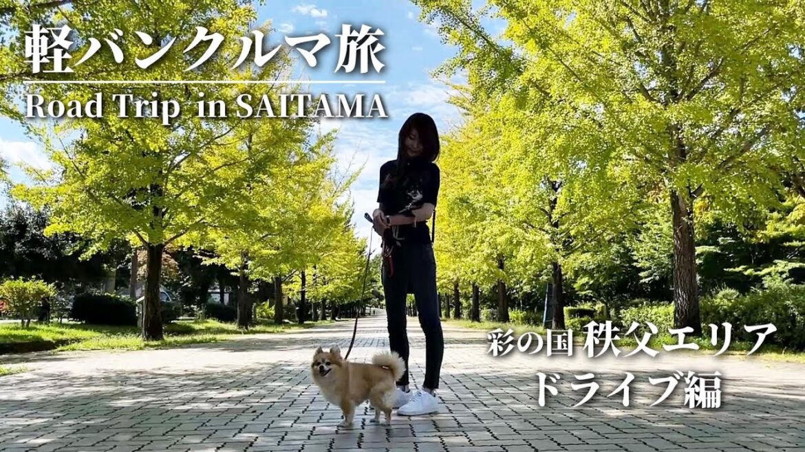 埼玉秩父を巡りながらラーメン求めて彷徨う犬連れクルマ旅|2022初秋.軽バンクルマ旅㏌埼玉秩父ドライブ編【アトレーW/S331G】 埼玉秩父を巡りながらラーメン求めて彷徨う犬連れクルマ旅|2022初秋.軽バンクルマ旅㏌埼玉秩父ドライブ編【アトレーW/S331G】