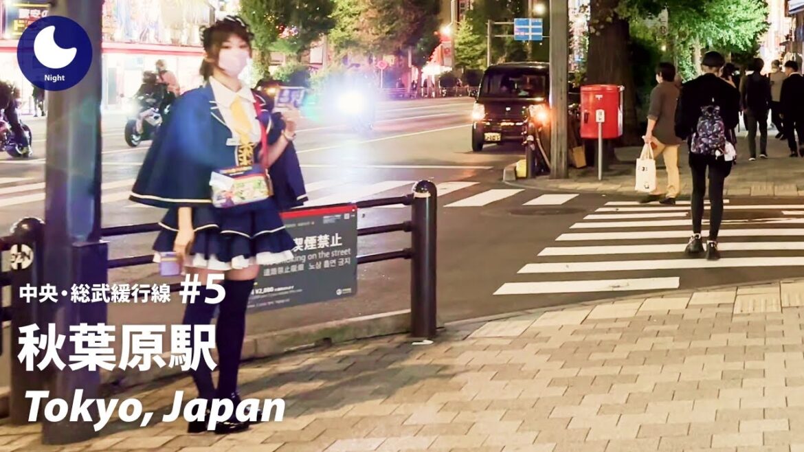 ⁴ᴷ Tokyo: Akihabara Station (秋葉原駅) / Chuo Sobu Line #5: Japan Walking Tour 2022 ⁴ᴷ Tokyo: Akihabara Station (秋葉原駅) / Chuo Sobu Line #5: Japan Walking Tour 2022