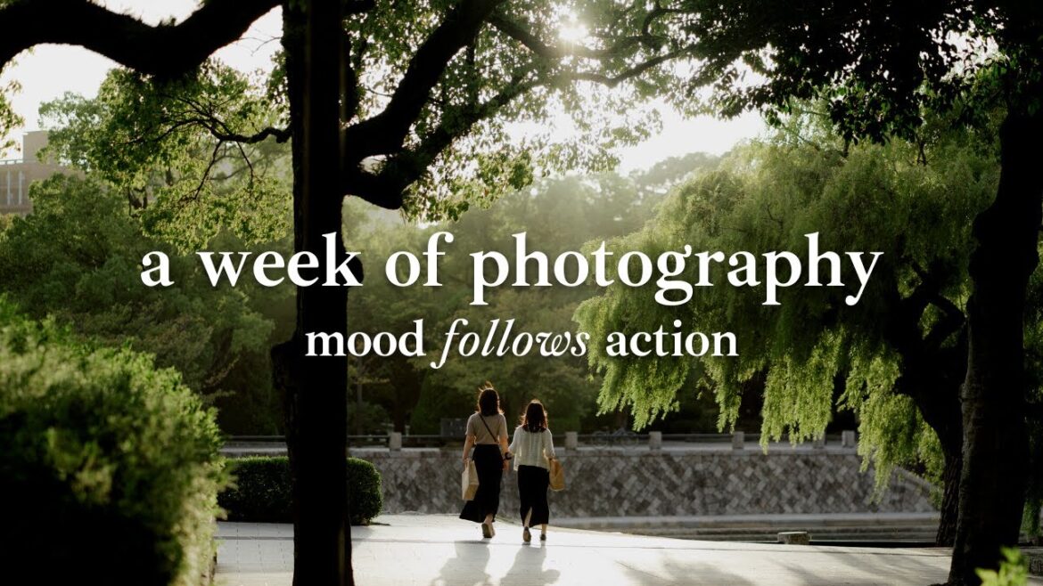 I did street photography everyday for a week and here are the results / Sony A7IV