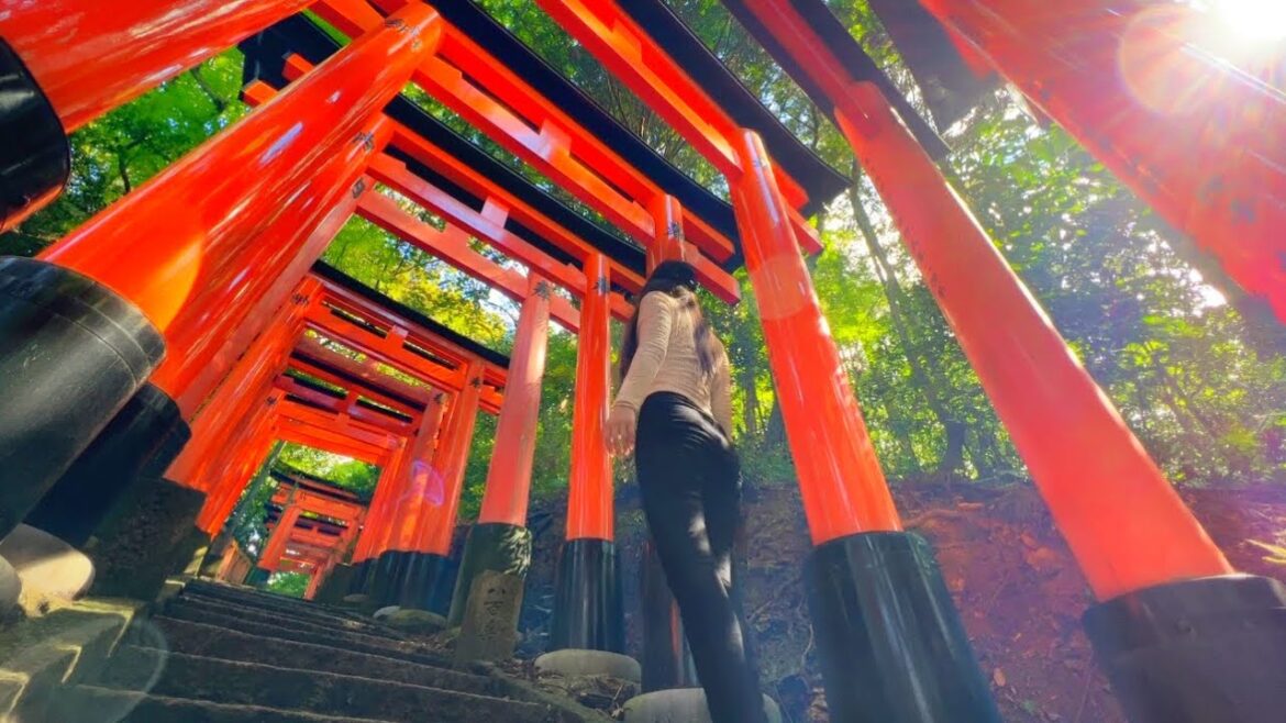 たくさんの幻想的な赤い鳥居パワースポットで過ごす1日⛩|京都伏見稲荷大社 たくさんの幻想的な赤い鳥居パワースポットで過ごす1日⛩|京都伏見稲荷大社