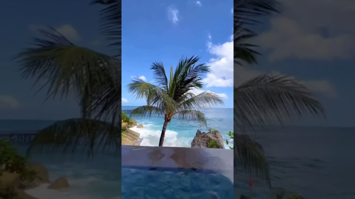 BLACKPINK -Shutdown (Tiktok) #shorts #newsong #youtubeshorts BLACKPINK -Shutdown (Tiktok) #shorts #newsong #youtubeshorts