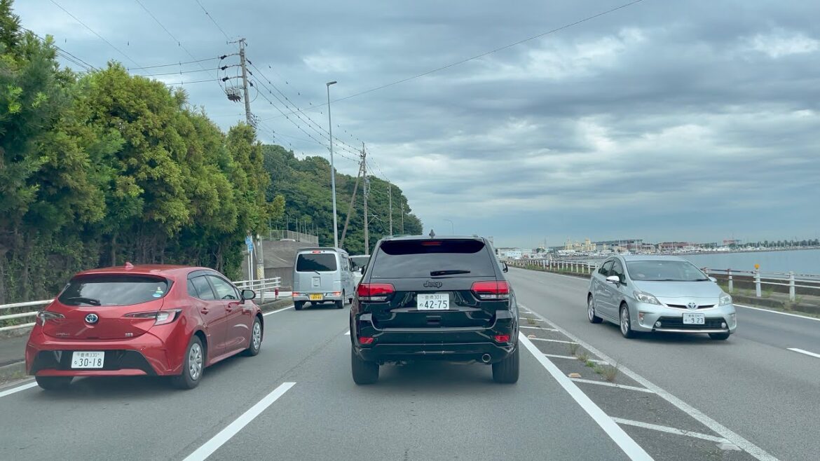 Immersive Driving Road Ambiance | Aichi Japan Immersive Driving Road Ambiance | Aichi Japan