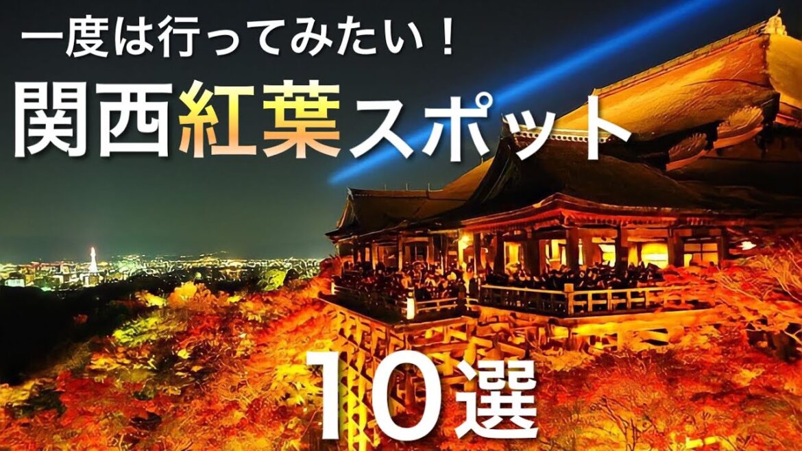 一度は行ってみたい‼︎関西の絶景紅葉スポット / 食べ歩きや絶景、見頃情報など / 紅葉狩り / 旅行 観光スポット