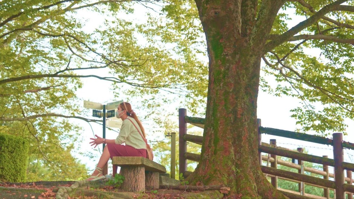 Autumn in Small Town 🍂 Autumn in Japan