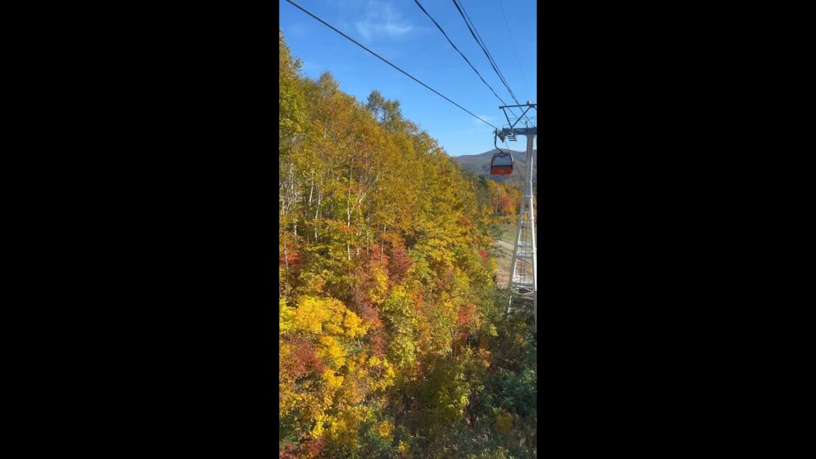 紅葉ゴンドラ🍁札幌国際スキー場⛷#Shorts