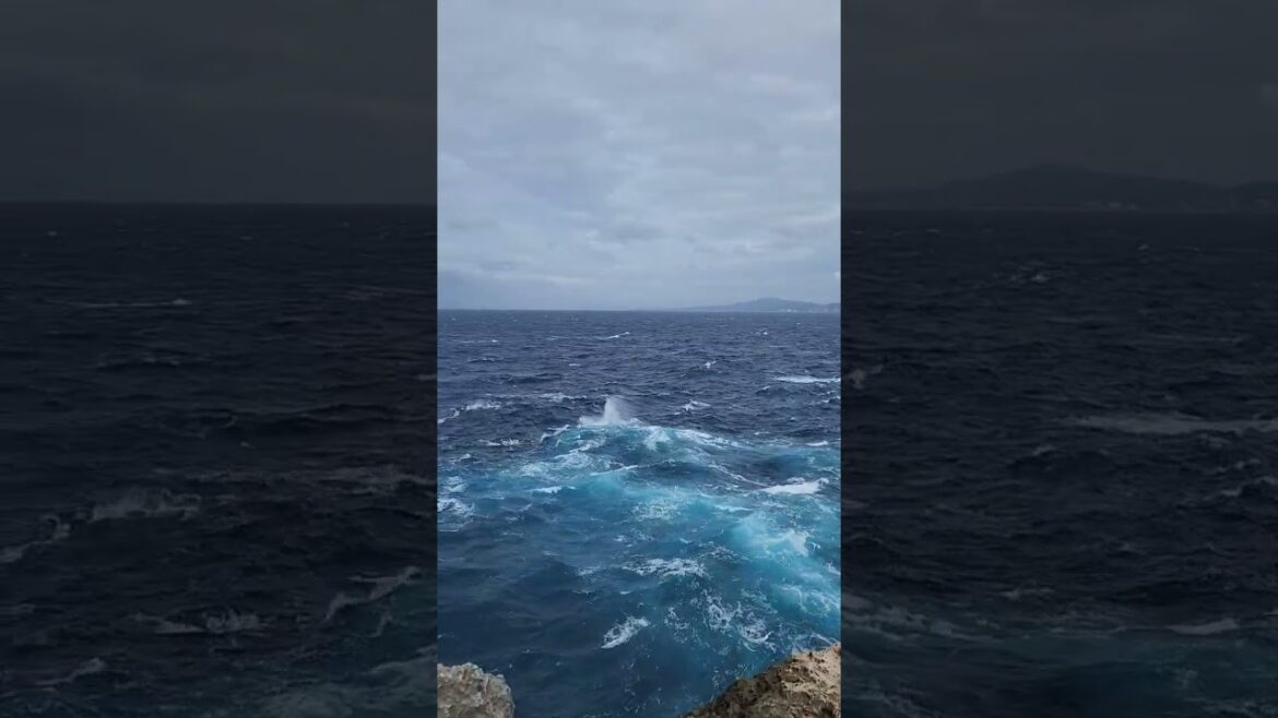 荒々しい残波岬 #shorts