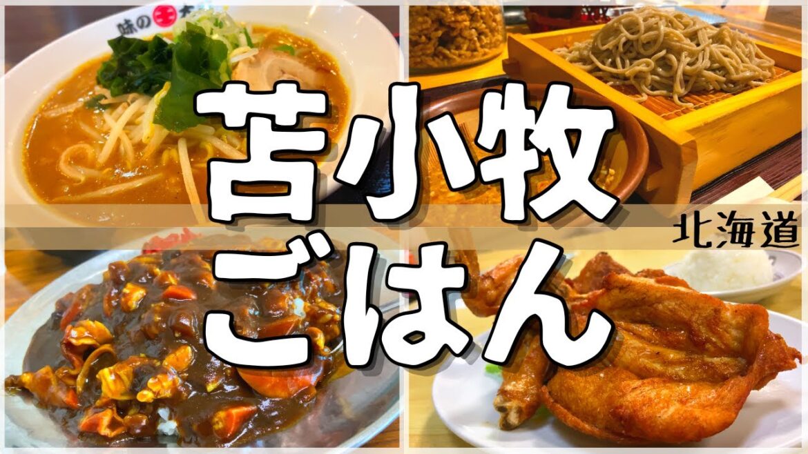 【日本グルメ旅】空港から札幌よりも近い穴場メシ!?北海道苫小牧市のご当地グルメを食べ尽くす!【一人旅、食べ歩き、観光、酒場放浪記】 【日本グルメ旅】空港から札幌よりも近い穴場メシ!?北海道苫小牧市のご当地グルメを食べ尽くす!【一人旅、食べ歩き、観光、酒場放浪記】