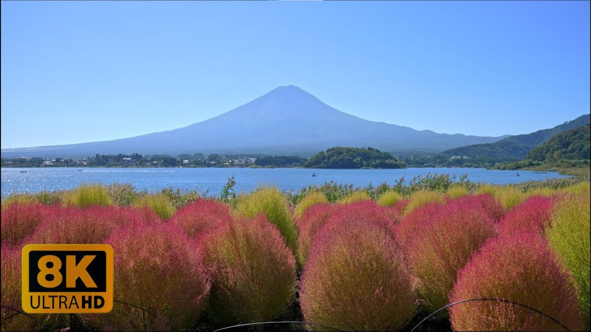 4K 8K 【大石公園】Autumn scenery of Oishi Park where the leaves are changing in Yamanashi 2022 4K 8K 【大石公園】Autumn scenery of Oishi Park where the leaves are changing in Yamanashi 2022