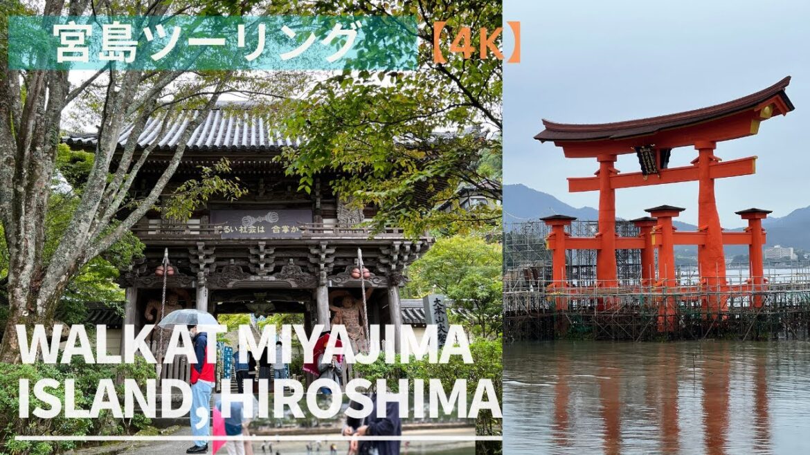 【4K】宮島ツーリング Walk at Miyajima Island, Hiroshima Japan Walking Tour / 1 day trip to Miyajima island 【4K】宮島ツーリング Walk at Miyajima Island, Hiroshima Japan Walking Tour / 1 day trip to Miyajima island