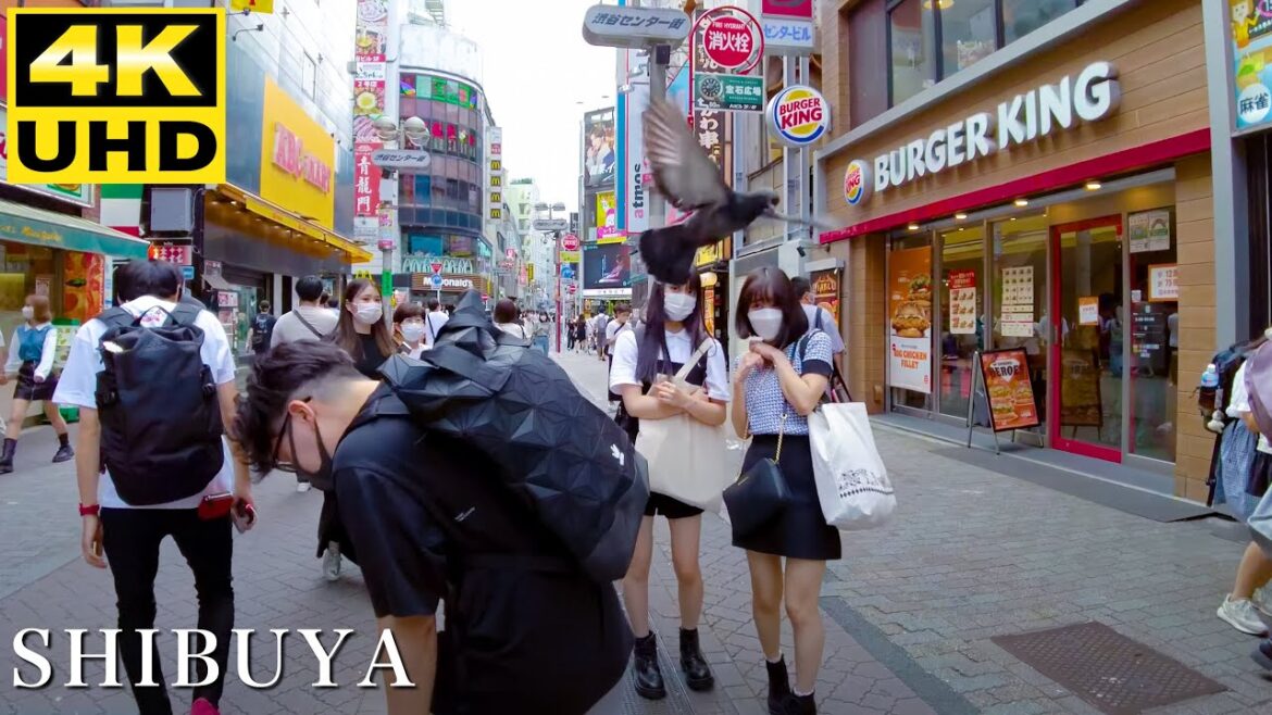 【4K】渋谷センター街を散歩中ハトが人を襲う – Japan Tourism #TOKYO #shibuya 【4K】渋谷センター街を散歩中ハトが人を襲う - Japan Tourism #TOKYO #shibuya