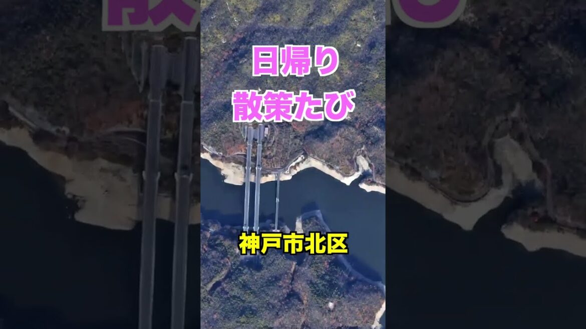 BE KOBE、八間蔵、cafeキモリ　#Shorts