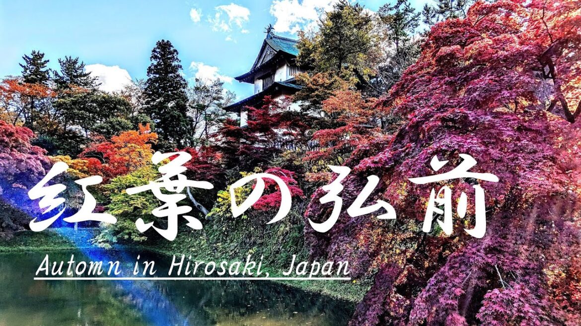 紅葉に彩られた弘前市~Automn in Hirosaki, Travel in Japan