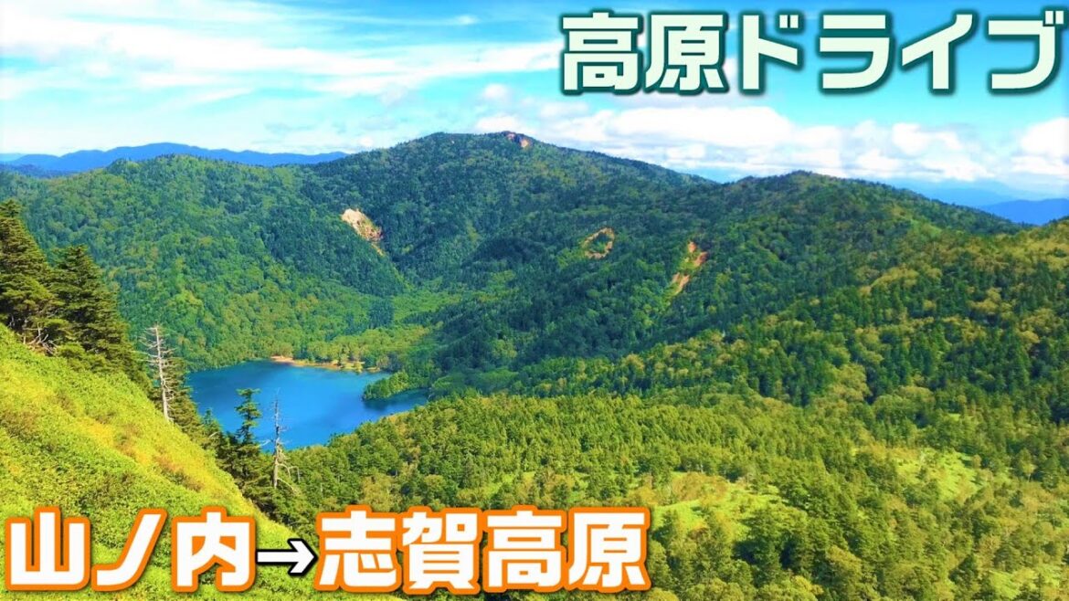 初秋の志賀高原で楽しむ御池巡り!歩きやすいハイキングコースは気軽な観光にもおすすめ😌道の駅 北信州やまのうち~前山サマーリフト~志賀山~大沼池~四十八池【アクセスMAP付き・4K】 初秋の志賀高原で楽しむ御池巡り!歩きやすいハイキングコースは気軽な観光にもおすすめ😌道の駅 北信州やまのうち~前山サマーリフト~志賀山~大沼池~四十八池【アクセスMAP付き・4K】
