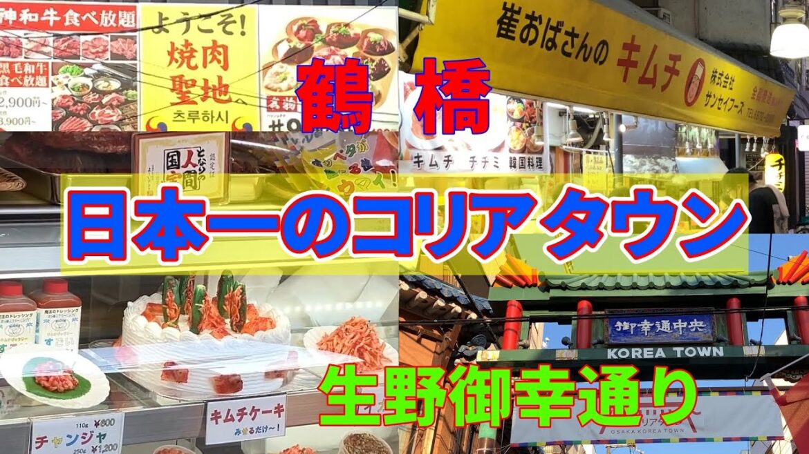 【大阪鶴橋】日本一のコリアタウン【生野御幸通り商店街】